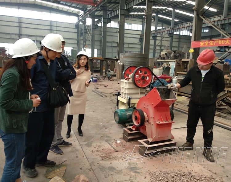 Customers visit factory for hammer crusher